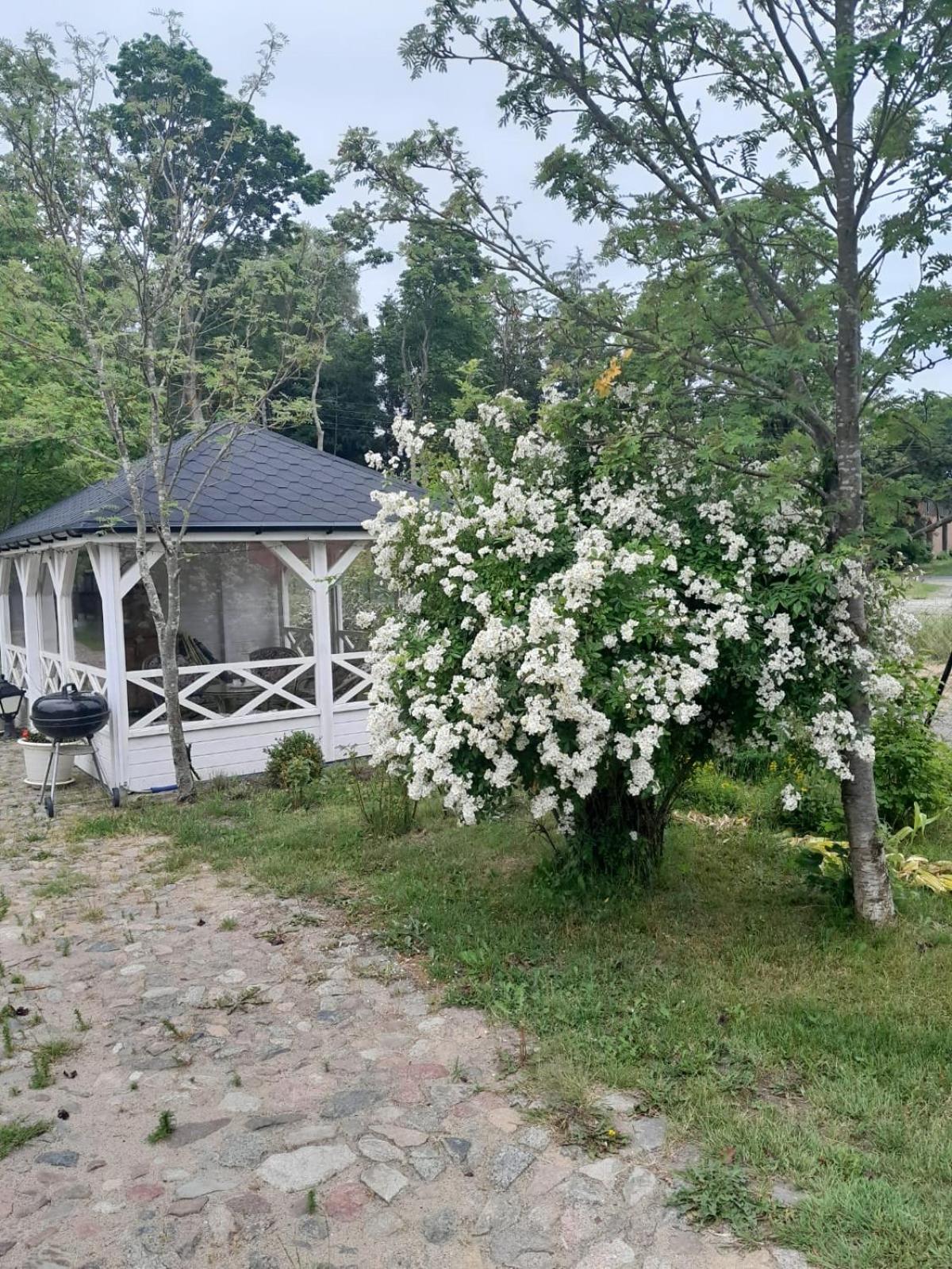 Villa Dom Nad Morzem Ludwikowo à Skrzeszewo  Extérieur photo